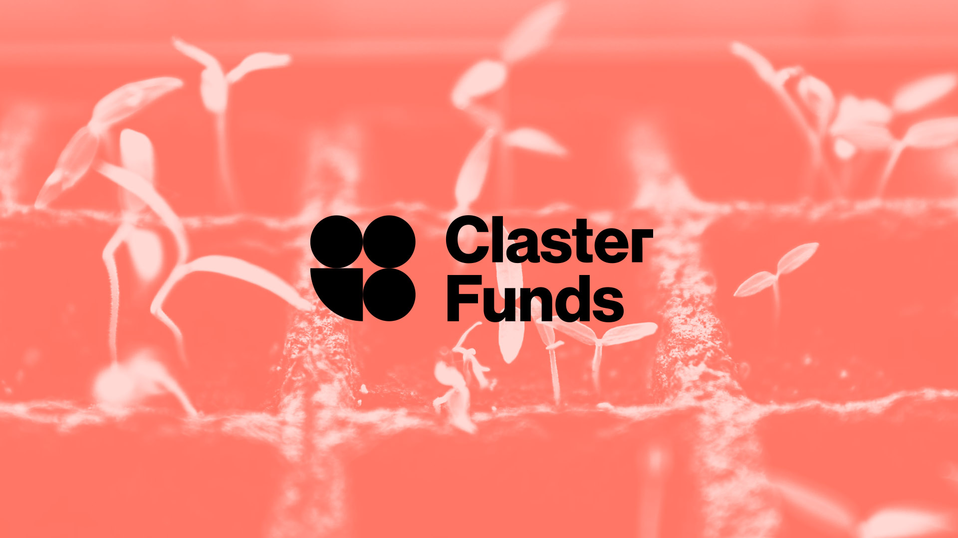 claster_funds
